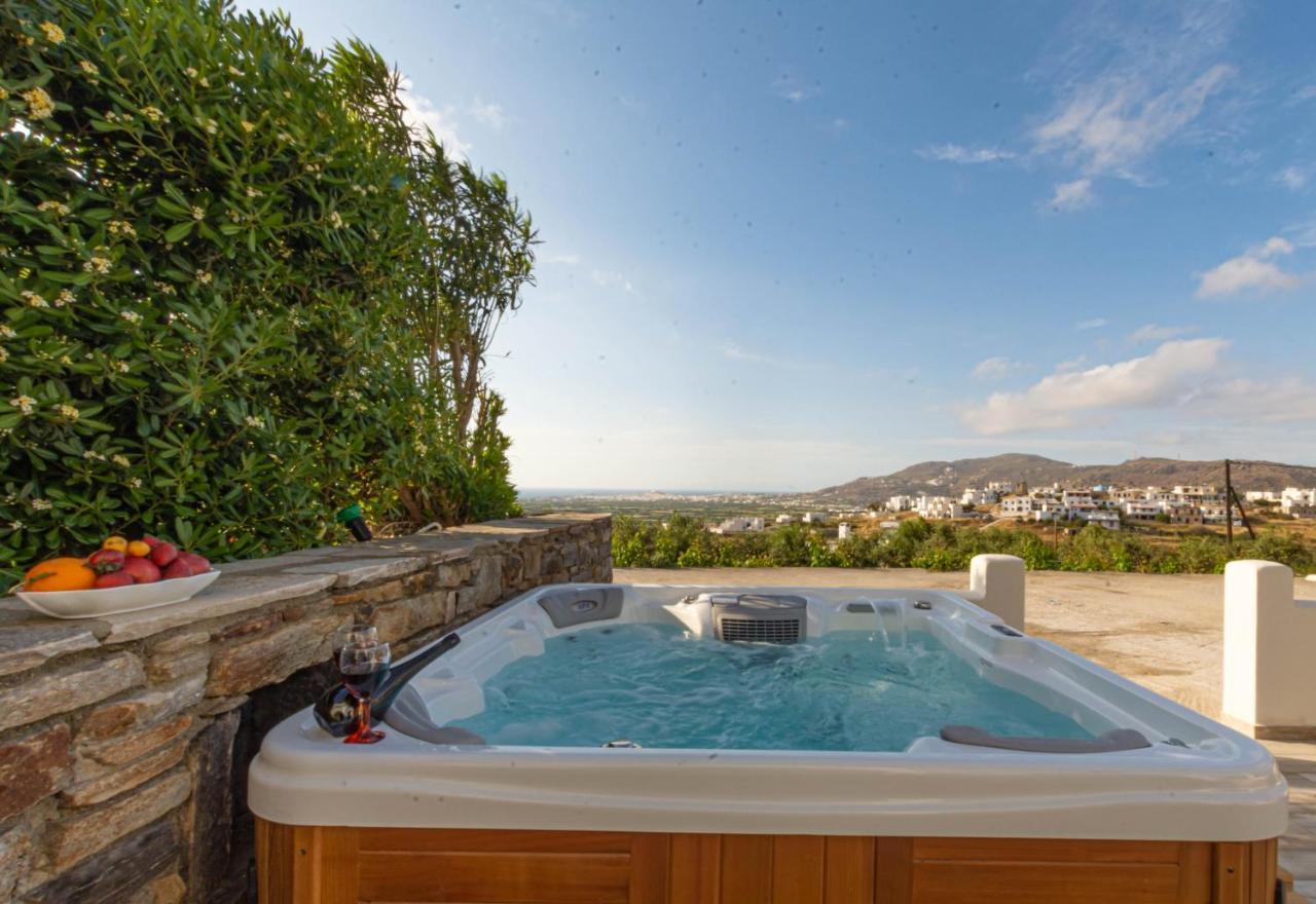Villa Di Sergio Glinado Naxos Eksteriør billede