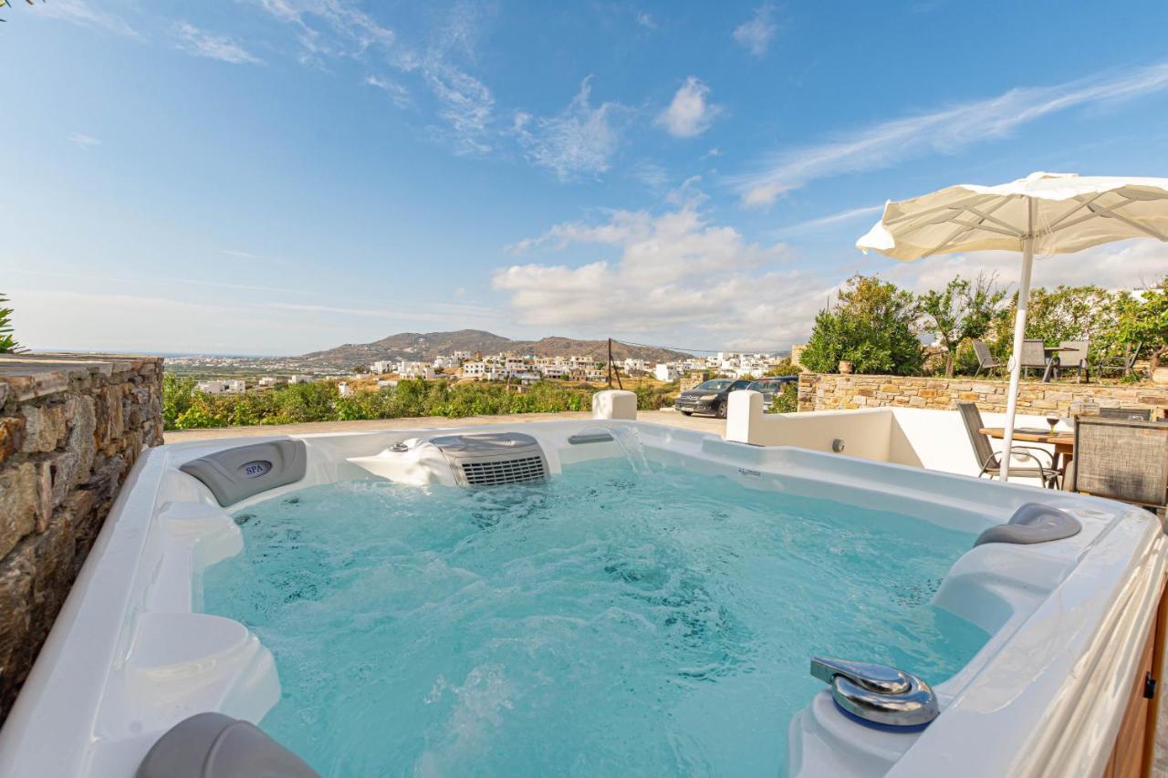 Villa Di Sergio Glinado Naxos Eksteriør billede