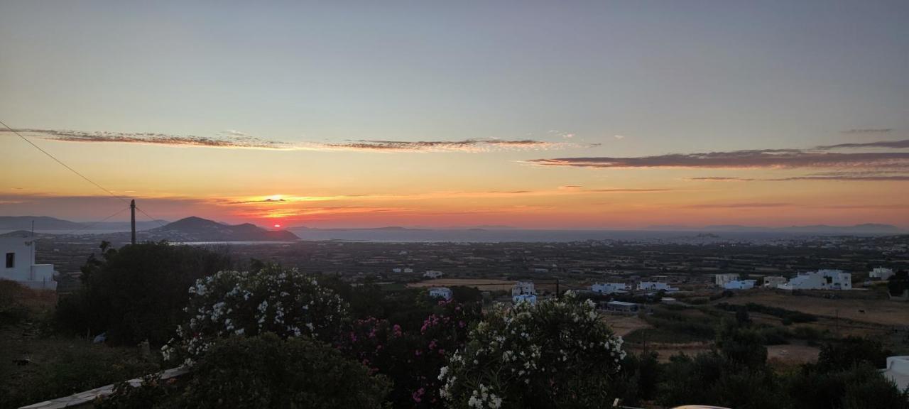 Villa Di Sergio Glinado Naxos Eksteriør billede